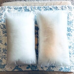 Pillow forms/inserts (12" x 20") 2 pack
